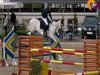 jumper Butterfly Flip 3 (German Sport Horse, 2004, from Brandenburger)