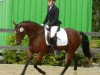 Zuchtstute MBF Golden Starlight WE (Deutsches Reitpony, 2008, von Dance Star AT)