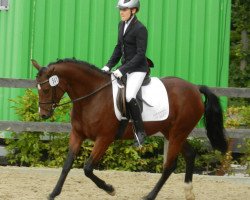 Zuchtstute MBF Golden Starlight WE (Deutsches Reitpony, 2008, von Dance Star AT)