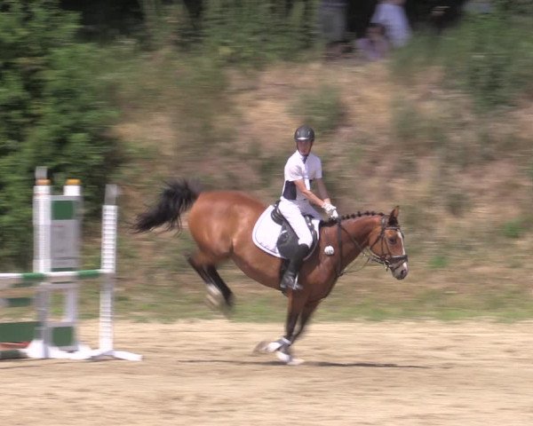 Reitturnier Angermünde/Pinnow 2022