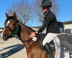 broodmare Cassini's Herzröschen (German Riding Pony, 2017, from Cassini)