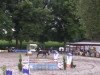 horse Nemo 260 (German Warmblood, 2003, from Nariston)