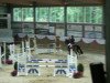 horse Brantops Valentine (German Riding Pony, 2000, from Brantops Validos Touch)