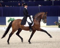 stallion United (KWPN (Royal Dutch Sporthorse), 2001, from Krack C)