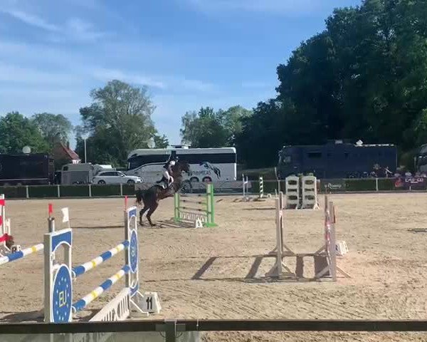 Reitturnier Moritzburg 2022
