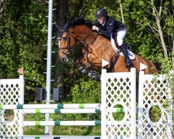 jumper Janacek D (KWPN (Royal Dutch Sporthorse), 2014, from Quasimodo vd Molendreef)