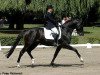 stallion Finckenstein TSF (Trakehner, 2002, from Latimer)