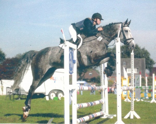 jumper Carlson 66 (German Warmblood, 2005, from Cyper Space)