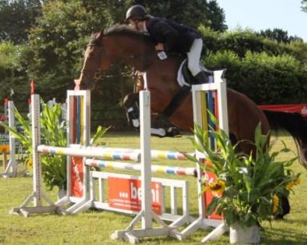 jumper Zoey (Holsteiner, 2007, from Don-Caster AA)