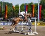 jumper Fu Balou (Oldenburg show jumper, 2016, from Furejev)