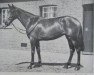 broodmare Sun Goddess xx (Thoroughbred, 1952, from Migoli xx)