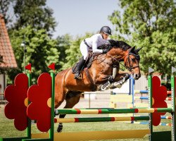 jumper Jennyfee 2 (Oldenburg show jumper, 2008, from Calato)