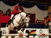 stallion Ile de Bourbon (Hanoverian, 1985, from Inschallah AA)