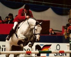 stallion Ile de Bourbon (Hanoverian, 1985, from Inschallah AA)