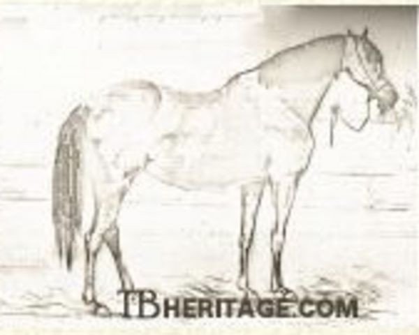 broodmare Marpessa xx (Thoroughbred, 1830, from Muley xx)