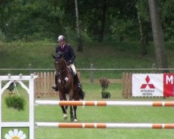 jumper Cansas 27 (German Sport Horse, 2007, from Canterbury)