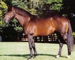 stallion Yachtie xx (Thoroughbred, 1989, from Broad Reach xx)