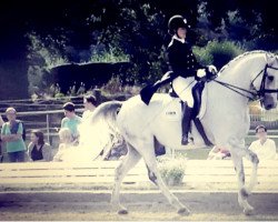 dressage horse James Bond 31 (Polish Warmblood, 2007, from Empire)