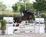 jumper Milando CH (Swiss Warmblood, 2012, from Milor Landais)