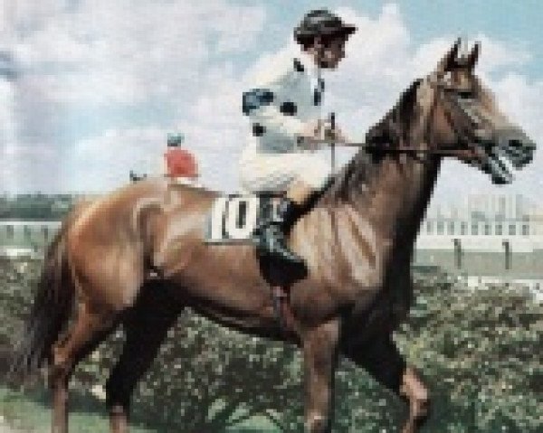 broodmare Lilt xx (Thoroughbred, 1968, from Faux Tirage xx)