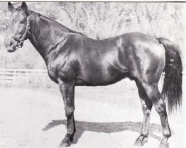stallion Faux Tirage xx (Thoroughbred, 1946, from Big Game xx)