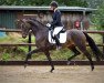 dressage horse Rina Ketty (Hanoverian, 2017, from Glock's Romanov)