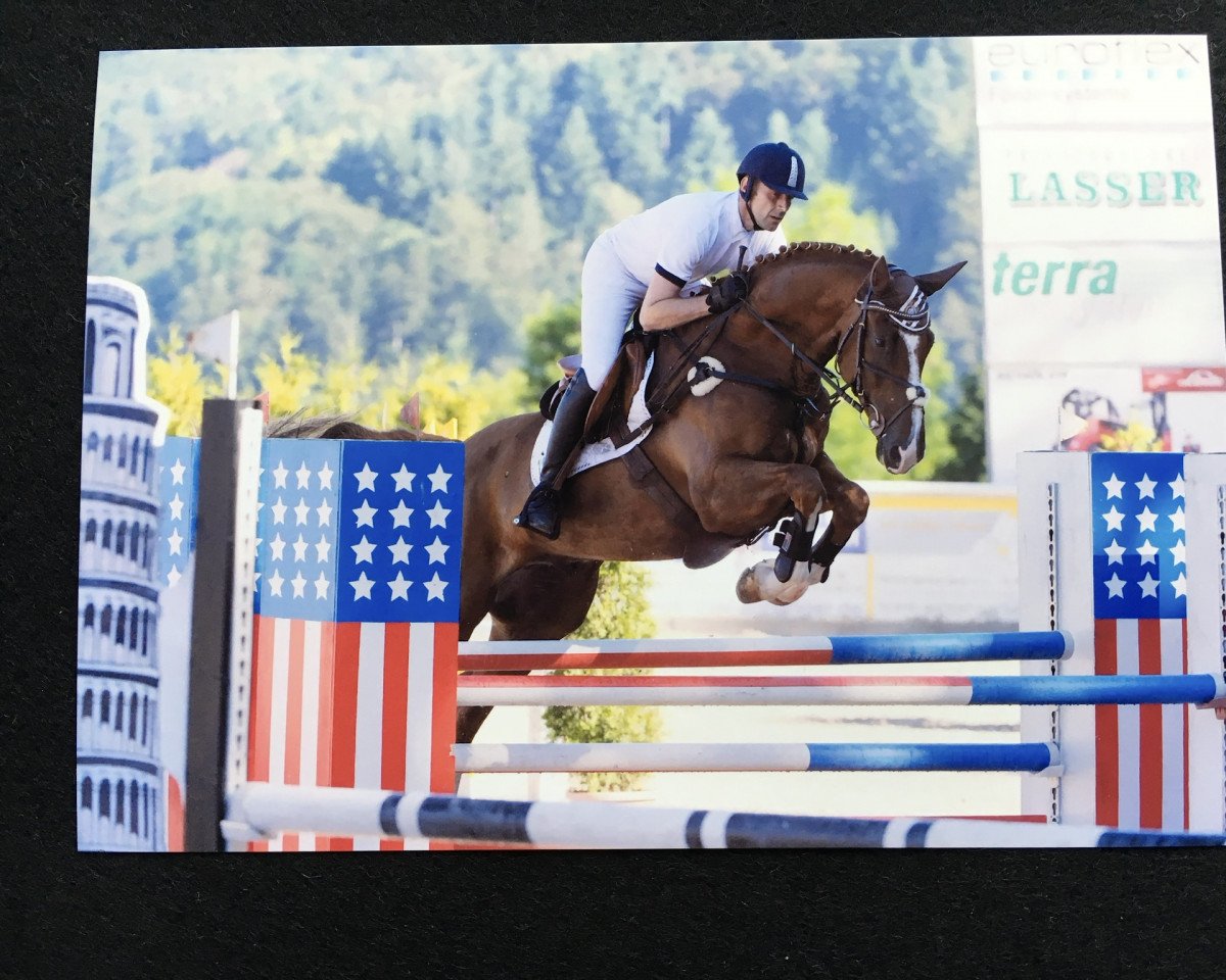 Springpferd Quentin 109 (Deutsches Sportpferd, 2010, von Quidams Quit)