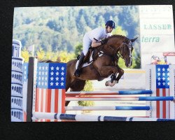 jumper Quentin 109 (German Sport Horse, 2010, from Quidams Quit)