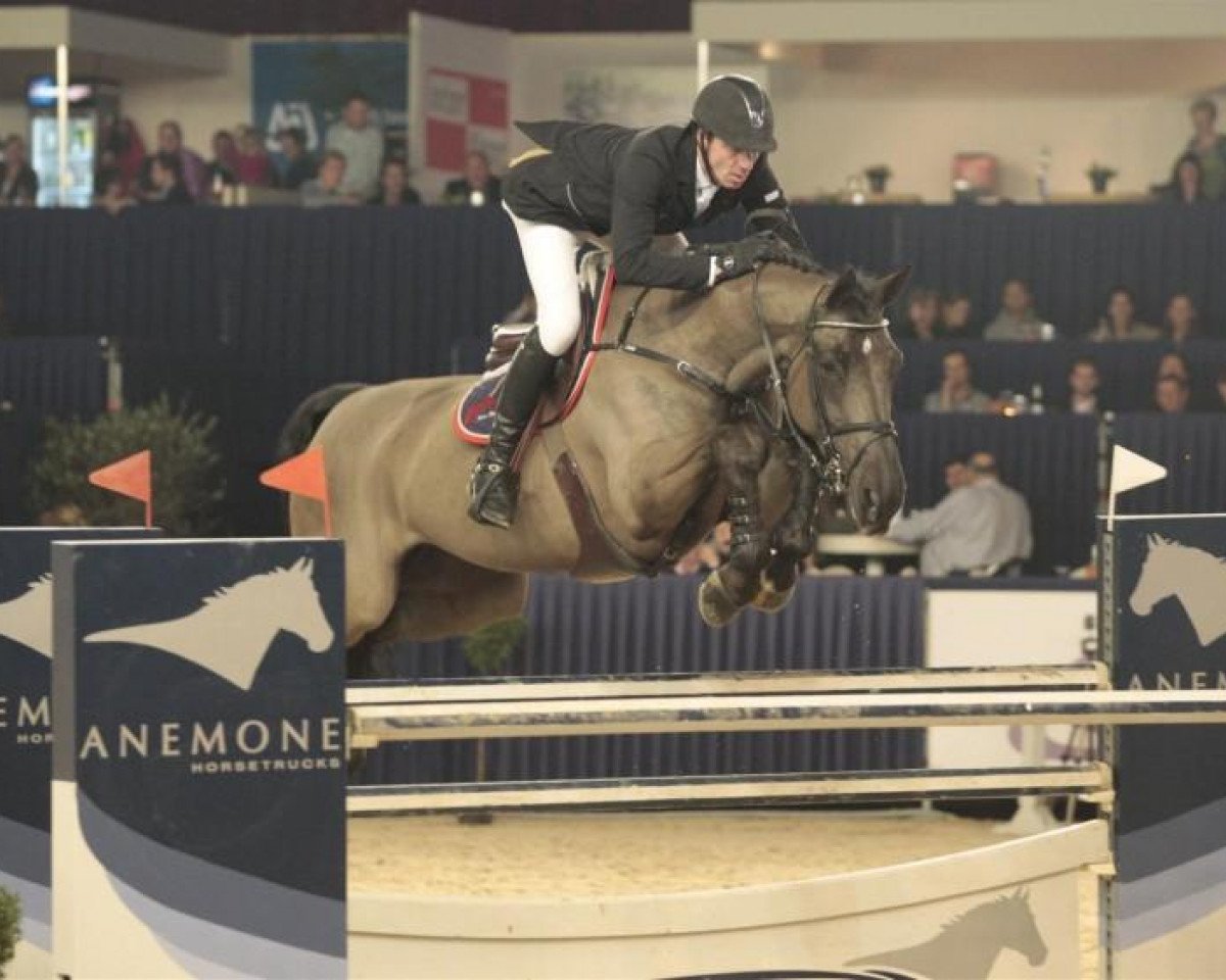 Zuchtstute Sissi van Schuttershof (Belgium Sporthorse, 2002, von Nabab de Reve)