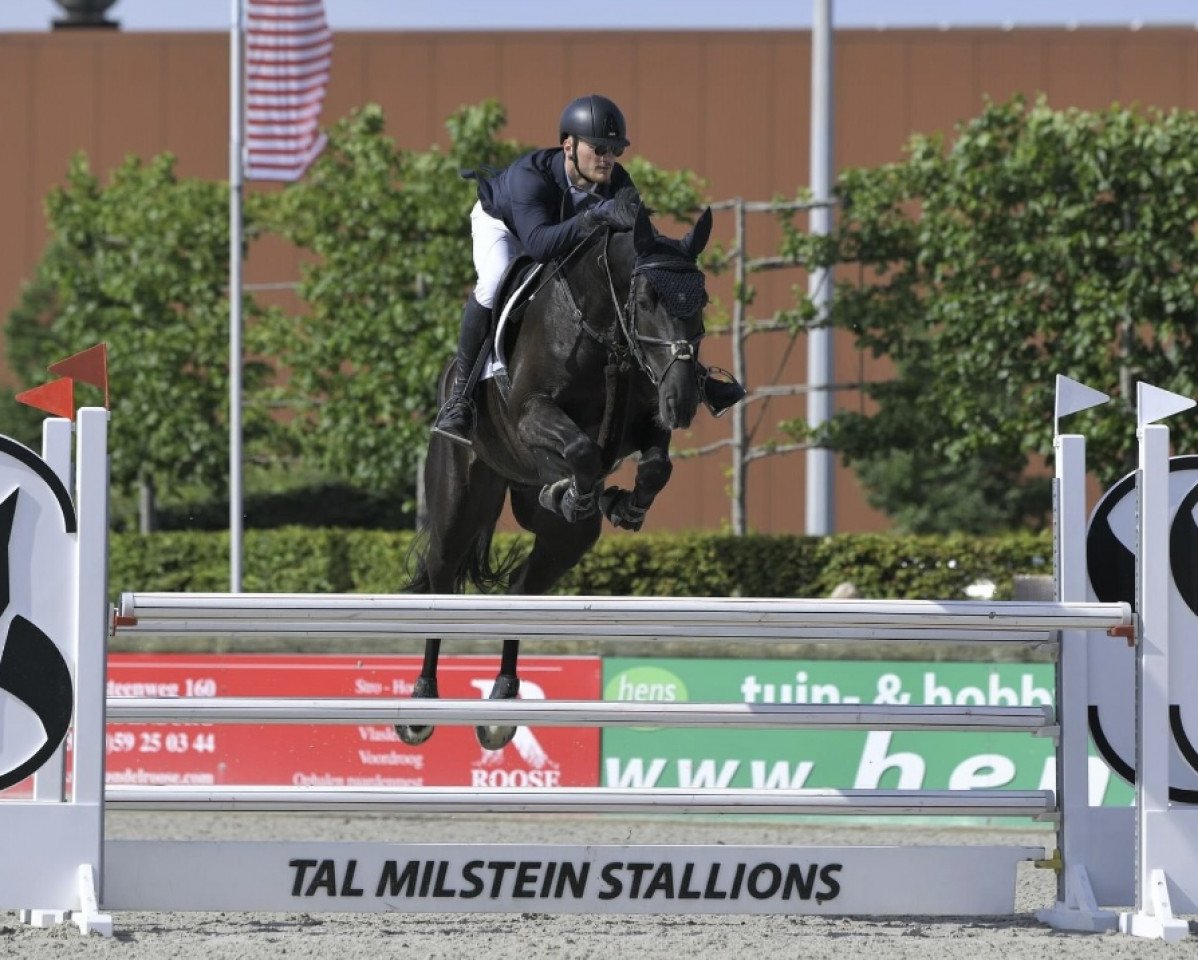 jumper Cooper THC (anglo european sporthorse, 2016, from Caruso de Trebox)