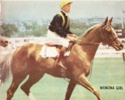 broodmare Wenona Girl xx (Thoroughbred, 1957, from Wilkes xx)