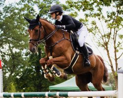 jumper Kaspar SB (German Sport Horse, 2008, from Kaiserwind)