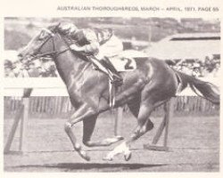 broodmare Golden Chariot xx (Thoroughbred, 1948, from Golden Sovereign xx)