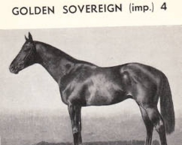 stallion Golden Sovereign xx (Thoroughbred, 1935, from Monarch xx)