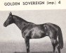 Deckhengst Golden Sovereign xx (Englisches Vollblut, 1935, von Monarch xx)