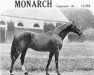 Deckhengst Monarch xx (Englisches Vollblut, 1918, von Tracery xx)