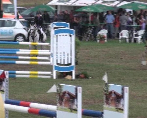 jumper Right Now 2 (German Riding Pony, 2001, from Ramon)