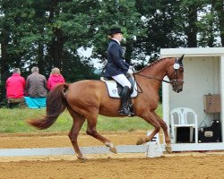 dressage horse Indio 67 (Oldenburg, 2002, from Indonese)