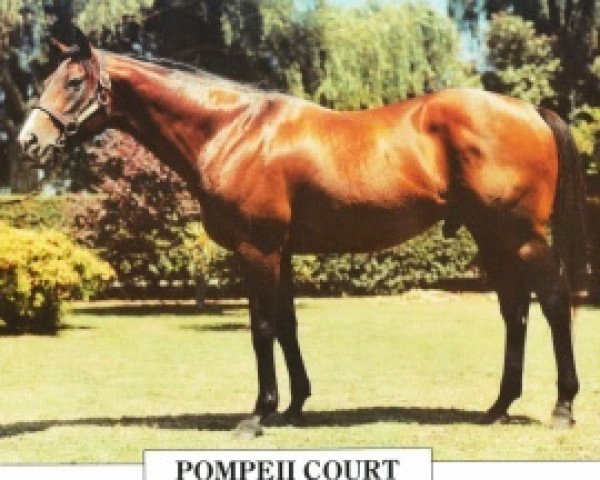 stallion Pompeii Court xx (Thoroughbred, 1977, from Tell xx)