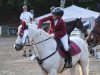 jumper Mr. Pepper 9 (Connemara Pony, 2012, from Gloves Bobby)