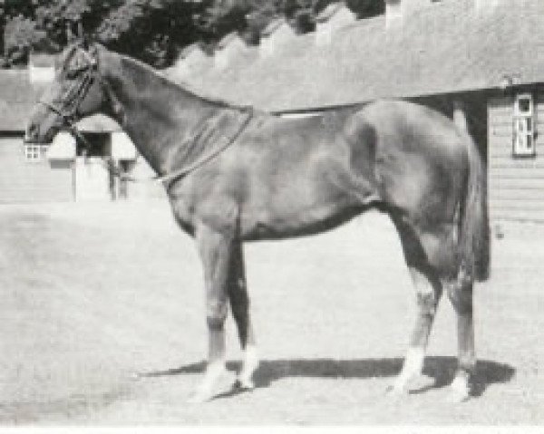 stallion Pride Of Kildare xx (Thoroughbred, 1948, from Royal Charger xx)