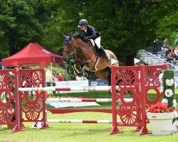 jumper La Coeur D'Or (Belgian Warmblood, 2011, from Nabab de Rêve)