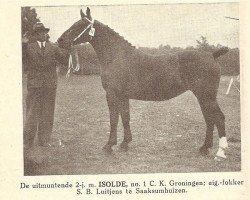 broodmare Isolde (Groningen, 1935, from Gambo II)