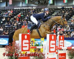 jumper C'est Mary Lou (Oldenburg show jumper, 2010, from Conthargos)