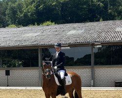 dressage horse Fs Night Rider (German Riding Pony, 2018, from Fs Numero Uno)