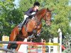 dressage horse Rockfire (Westphalian, 2004, from Rockwell)