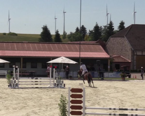 Reitturnier Immenrode 2022
