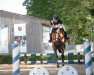 broodmare Kleiner Donner 100 (Oldenburg show jumper, 2014, from Kannan)