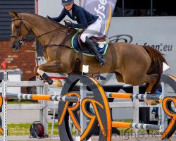 jumper Gaudi (KWPN (Royal Dutch Sporthorse), 2011, from Lexicon)