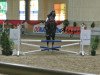 horse Aragon 22 (Austrian Warmblood, 2006, from Absalon)